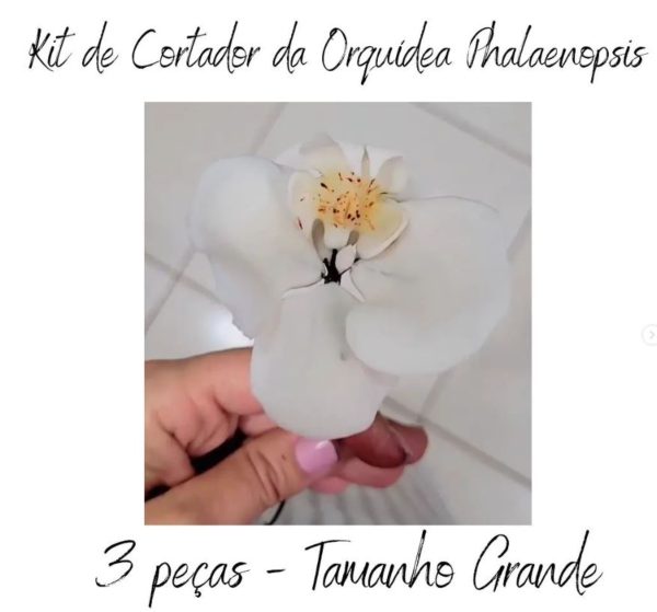 Kit de Cortador Orquídea Phalaenopsis - 3 Peças