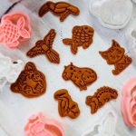 Kit Cortador e Marcador Animais Fauna do Brasil